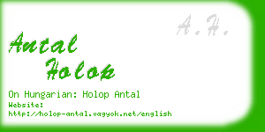 antal holop business card